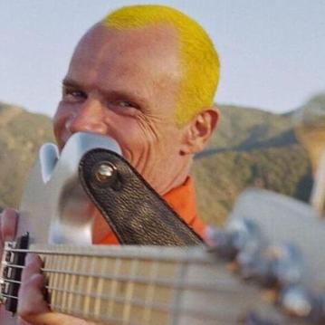 Flea